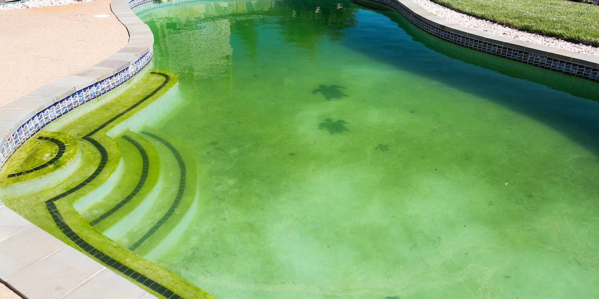 Green Pool Cleaning
